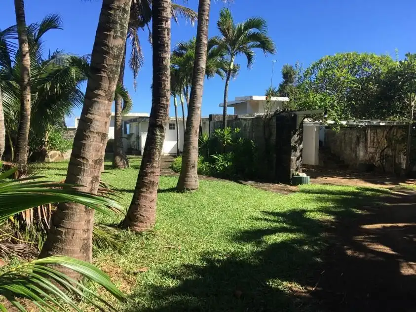 Seaside Luxury Living in Mauritius Beautiful tropical garden with palm trees and lush greenery in Mauritius.