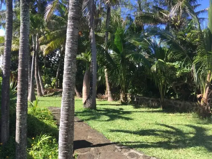 Luxurious seaside property surrounded by lush palm trees in Mauritius. Perfect for a tropical lifest.