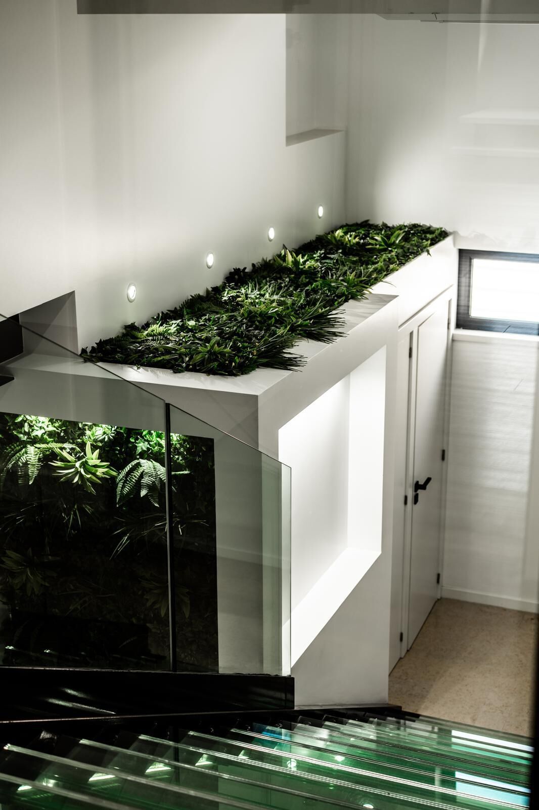 Indoor garden with vibrant plants on a white cabinet in a contemporary living space.