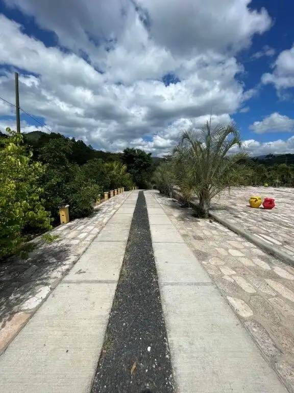 Pathway to mountain retreat with lush greenery and scenic views.
