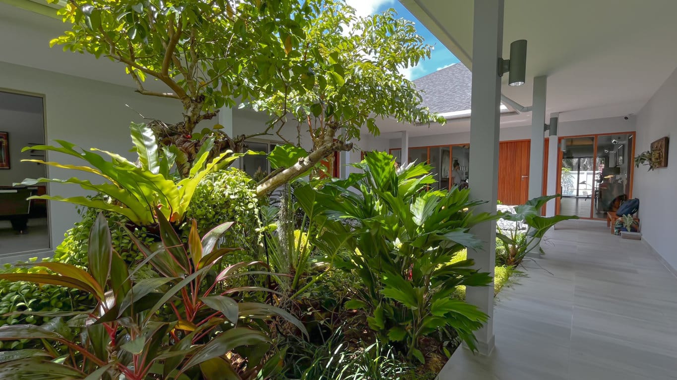 IMG_4309-FILEminimizer