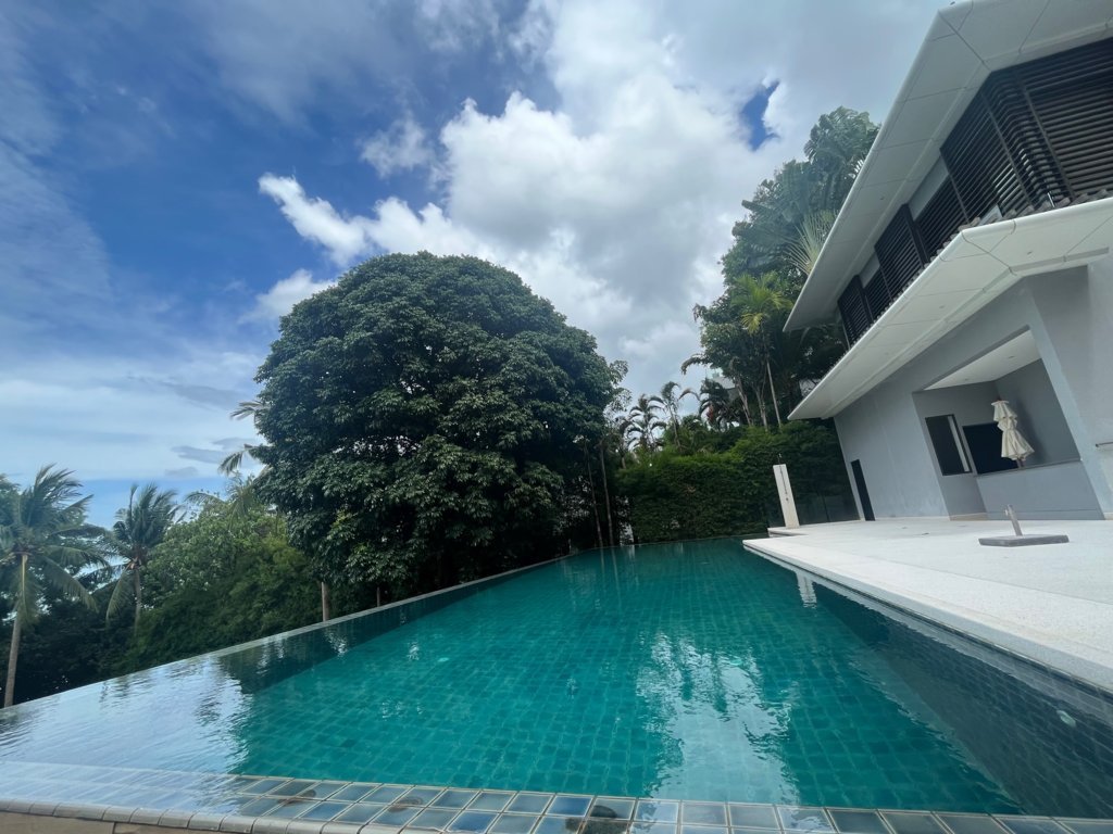 IMG_6499-FILEminimizer