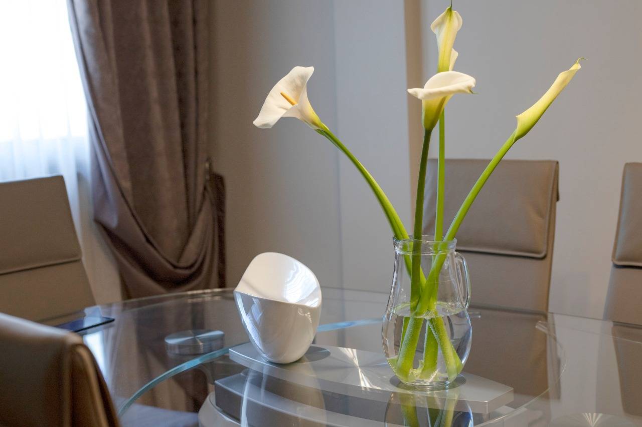 Luxury-apartment-for-sale-in-Boka-bay-MOntenegro