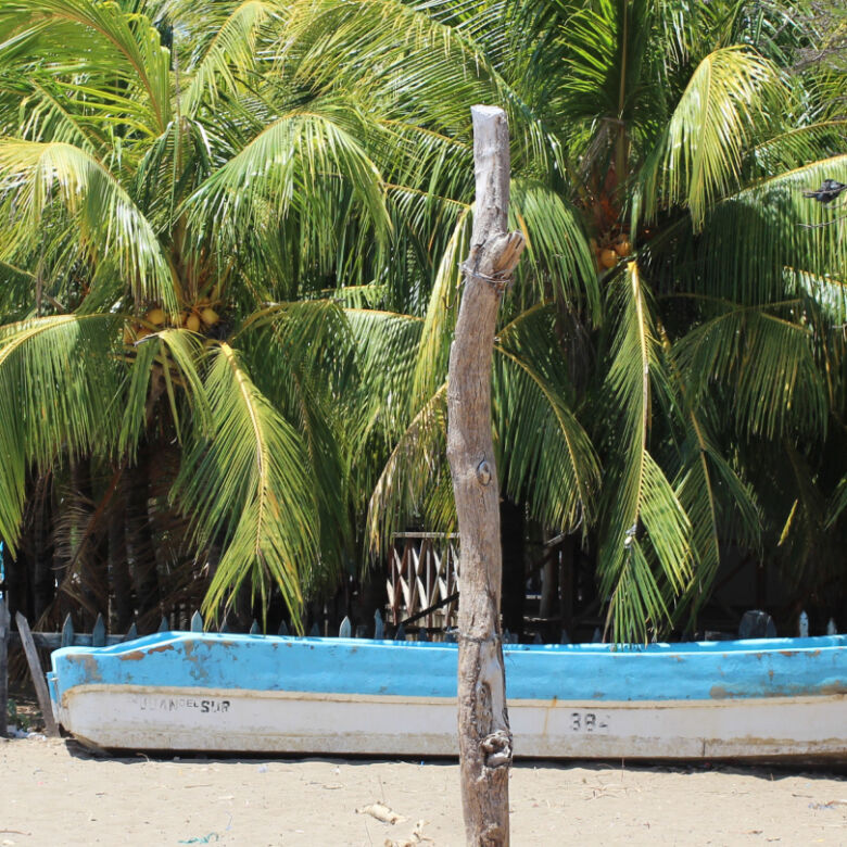 Beautiful land plot for sale in San Juan Del Sur with lush palm trees and a boat on the beach. Perfe.