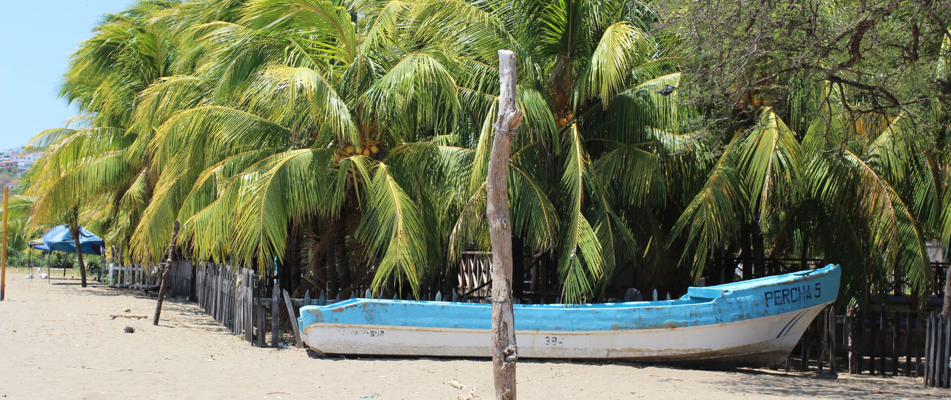 Beautiful land plot for sale in San Juan Del Sur with lush palm trees and a boat on the beach. Perfe.
