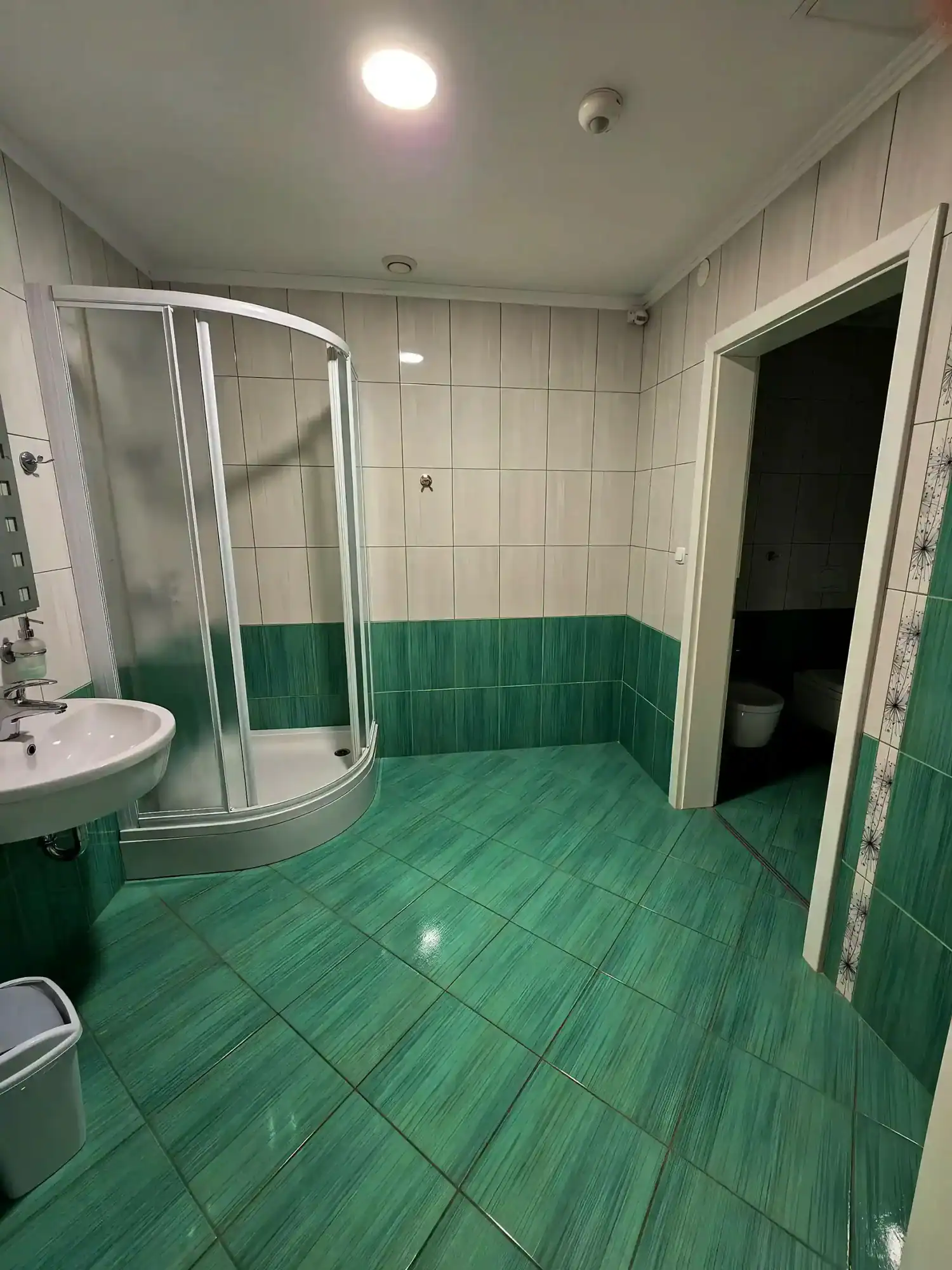 Bathroom with shower, sink, and toilet in a commercial property in Rogatec.