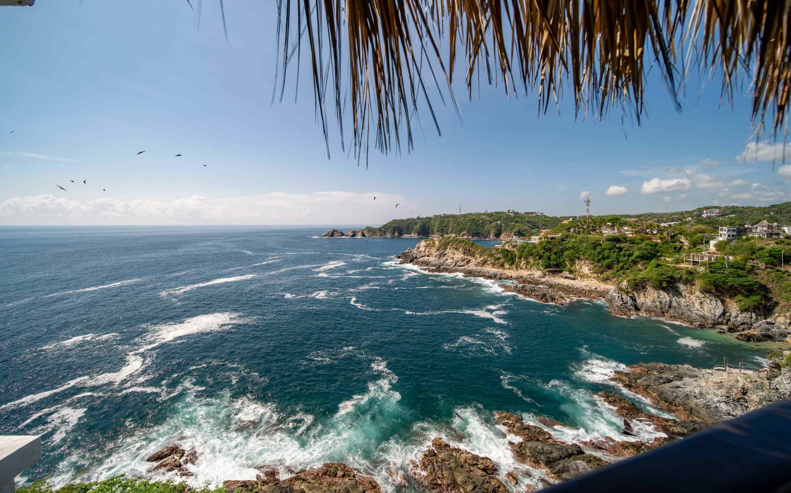 Viewpoint-307-WEB-31-scaled-comp