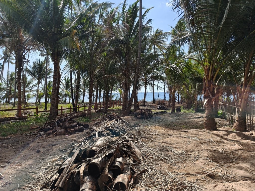 Weixin-Image_20250909130025