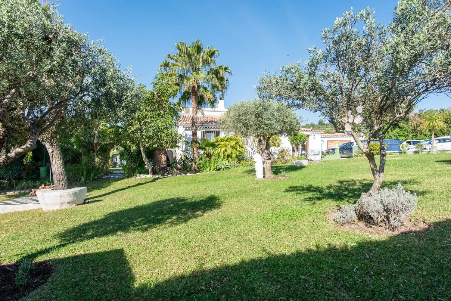 Beautiful garden scene with trees, grass, and sunny weather in Estepona.