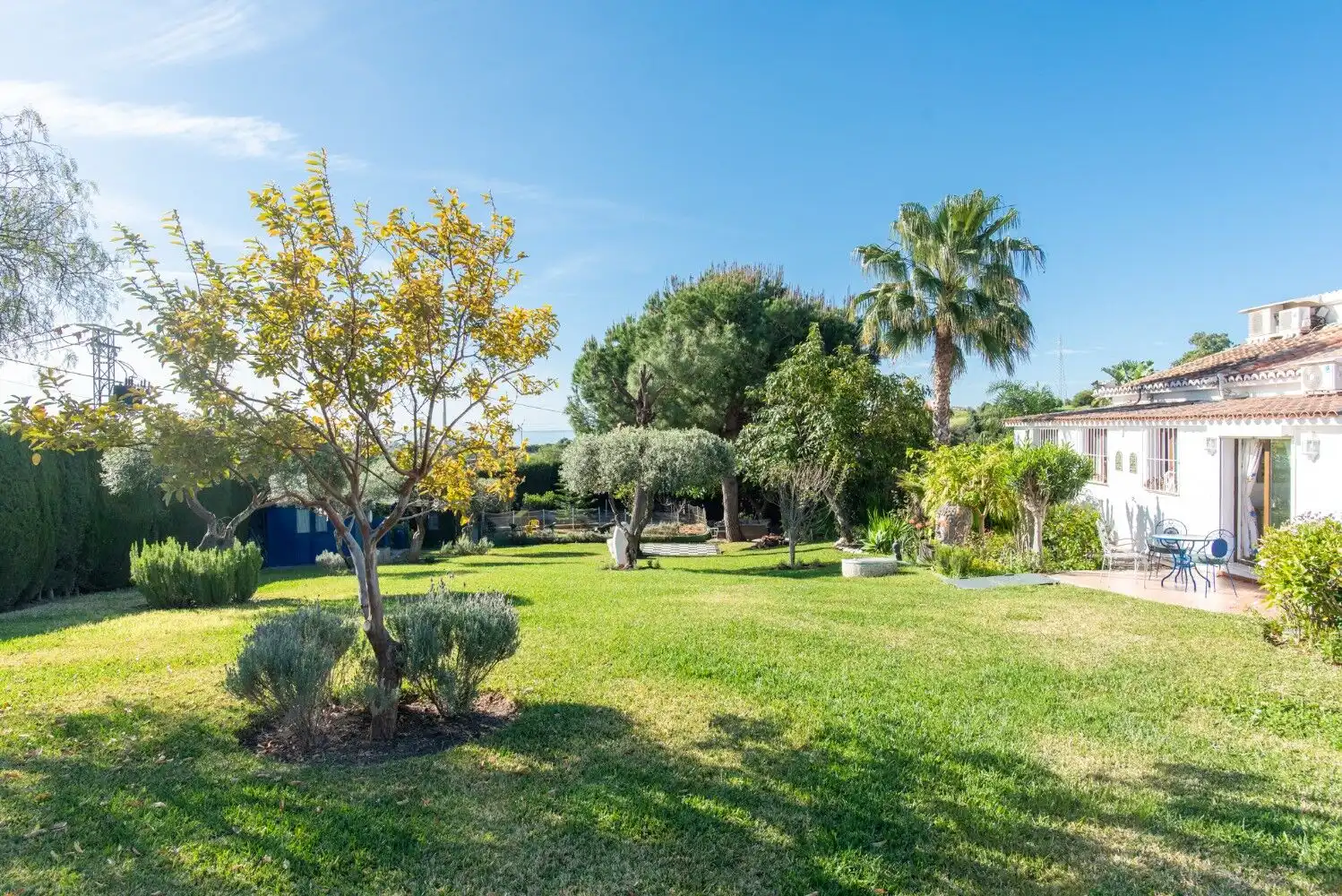 Beautiful garden view of Los Llanos estate in Estepona with lush greenery and mature trees.
