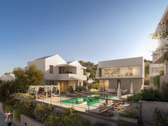 gallery media 2168 large large 1