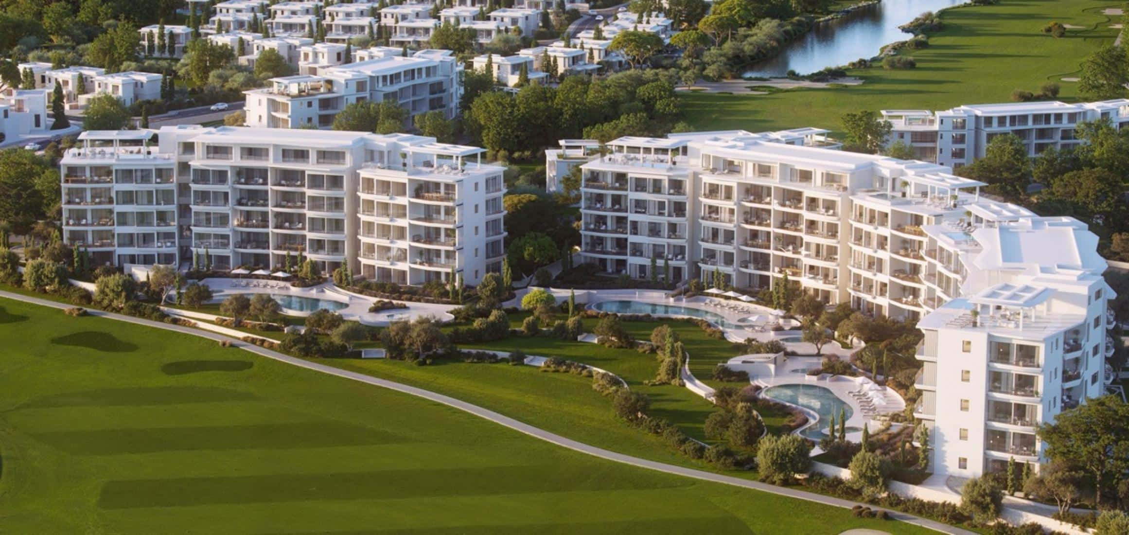 hero-starlings-large-large-3