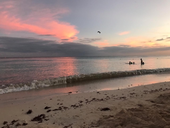 hotel for sale 53 playa del carmen 2