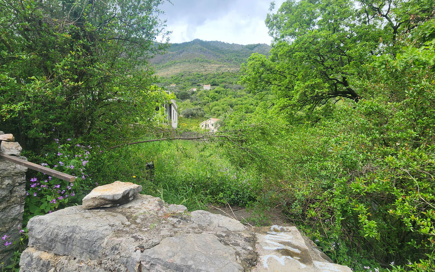 house-for-sale-in-herceg-novi-kamenari-49-astra-real-estate-agency