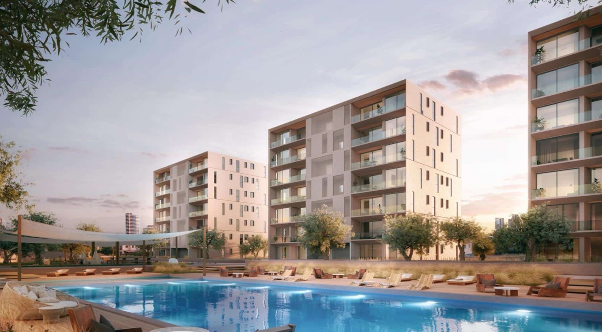 image-e582dfb6-bcf2-4b0b-bc4e-b7c4bd41d30c-large-large