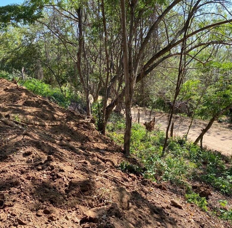Plot of land for sale in San Juan Del Sur with lush trees and natural terrain.