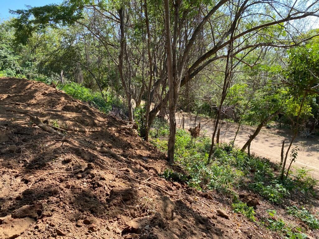 Plot of land for sale in San Juan Del Sur with lush trees and natural terrain.