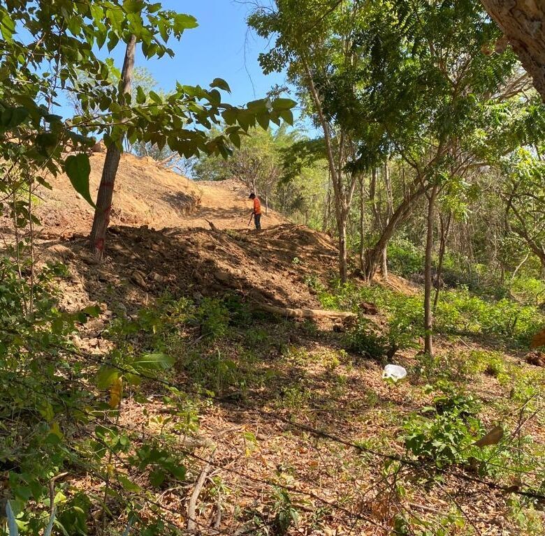 Land for sale in San Juan Del Sur with lush greenery and scenic views.