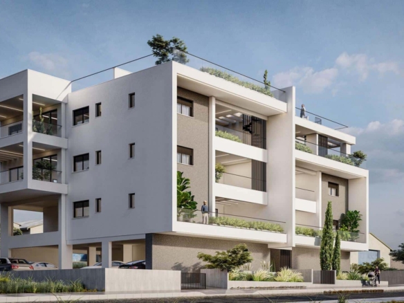 img 1017 copy large 5