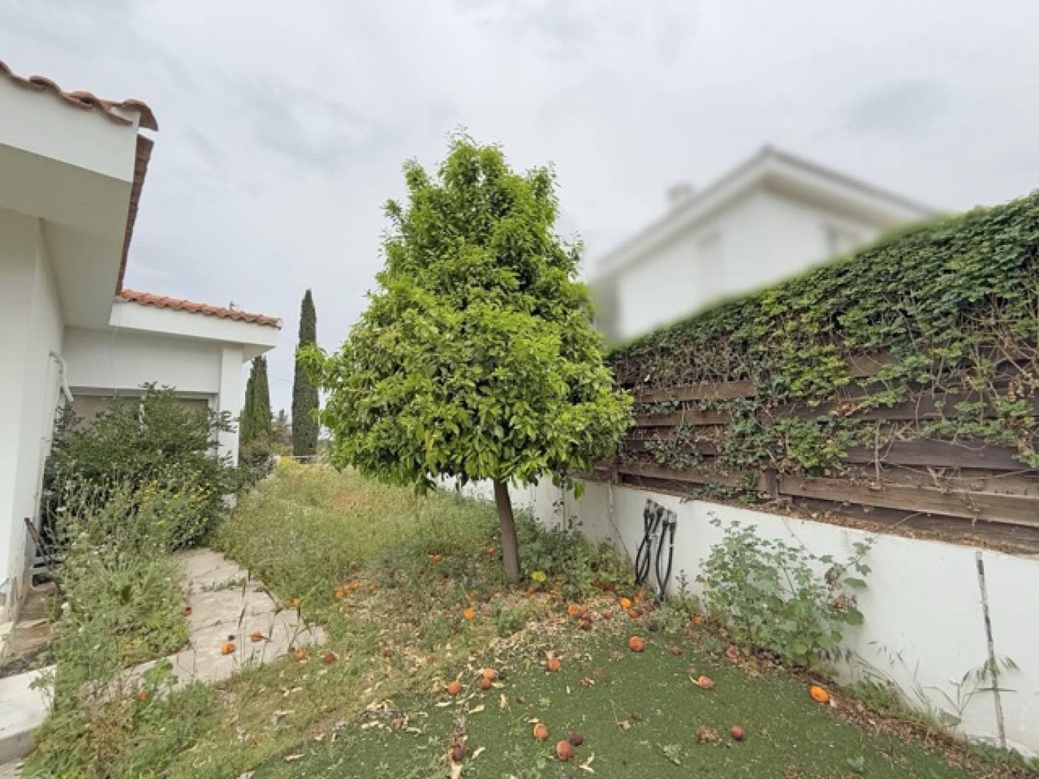 img-2295-copy-medium-large