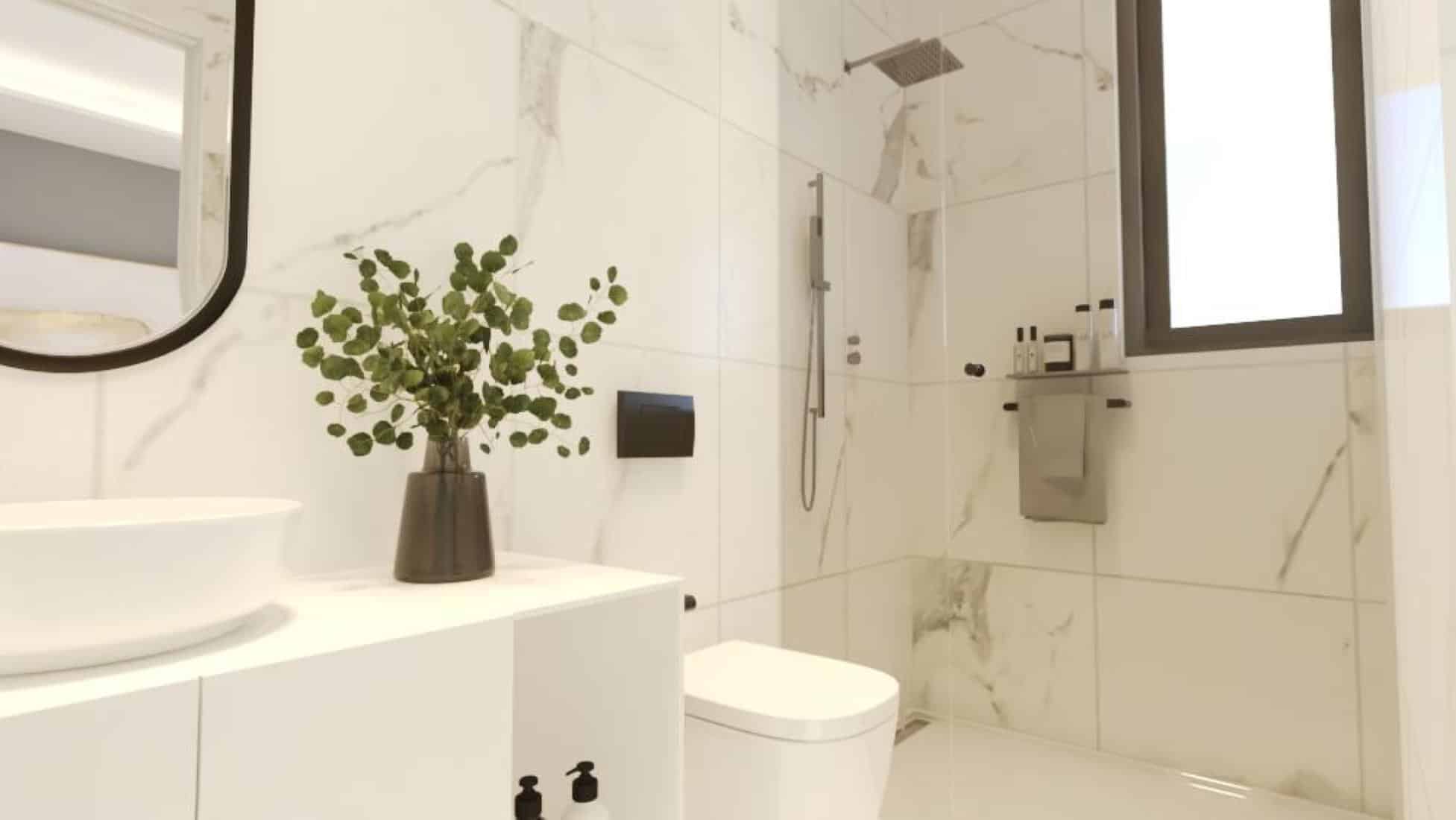 livanex-int-draft-10-large-large