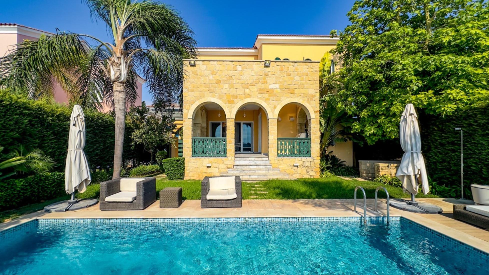 livi10-11-large-large