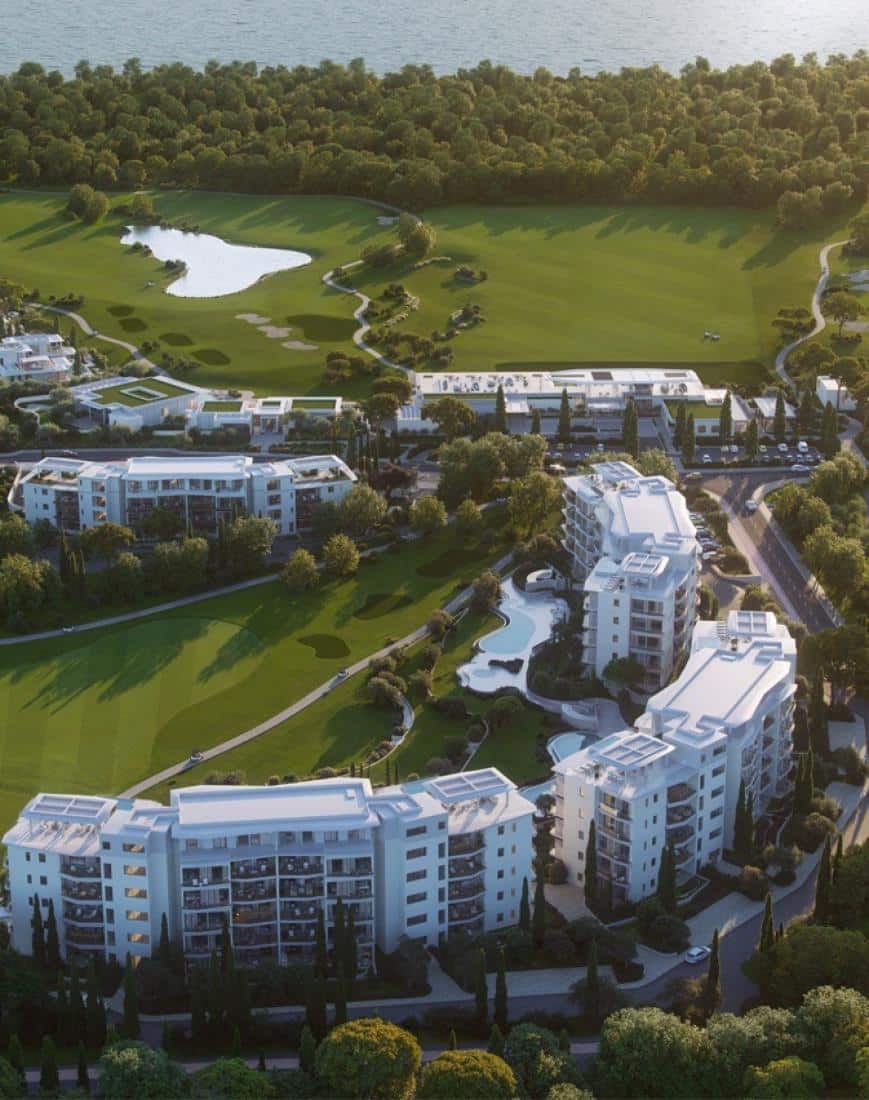 main-starlings-1-large-large-3