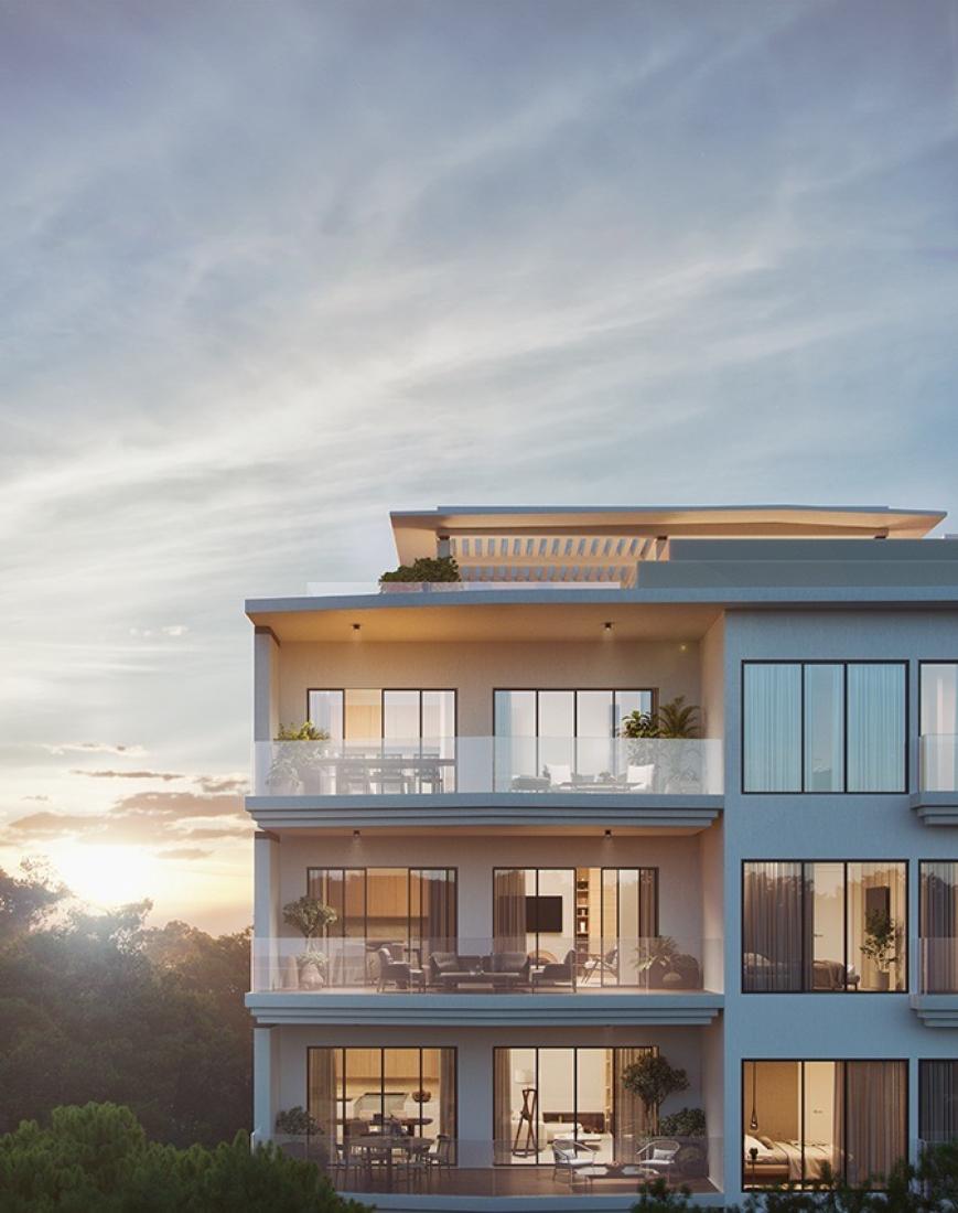 main-starlings-2-large-large-3