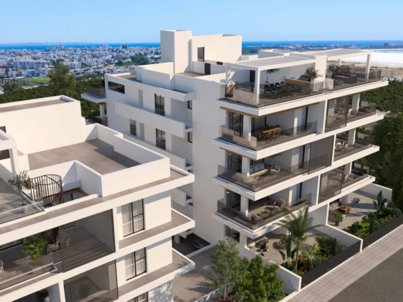 ohana dreams final cam 12 copy 2 large