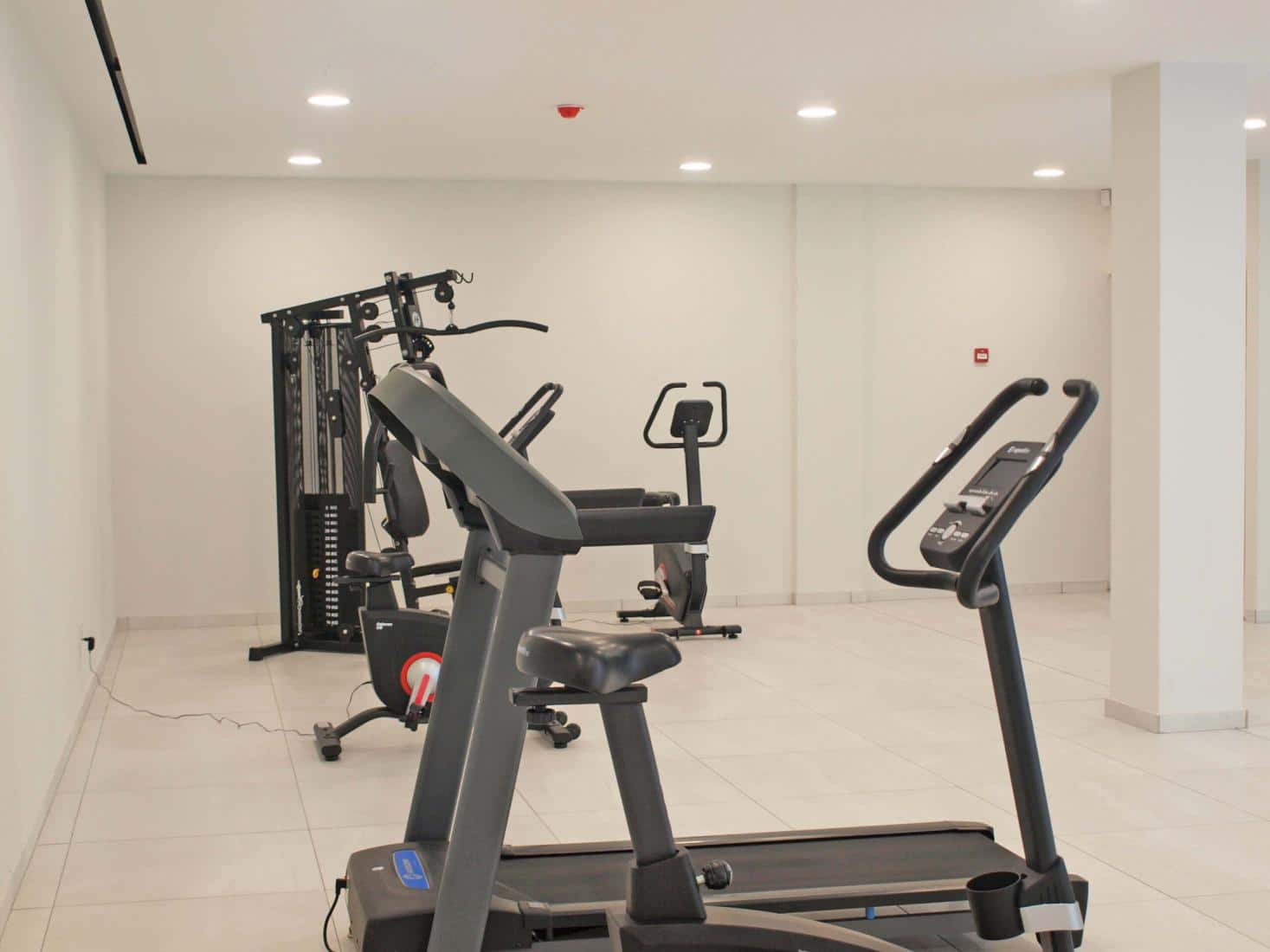 p3156771-1-scaled-copy-large