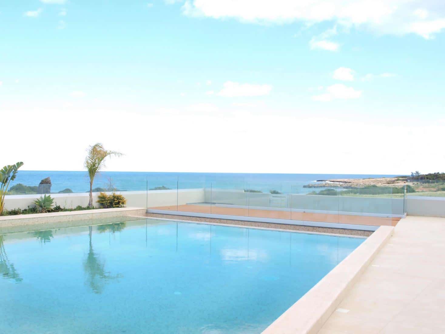 p3156790-scaled-copy-large-1