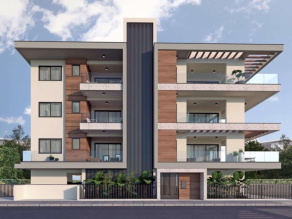 palm v 2 large large