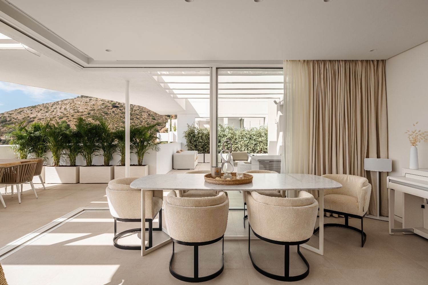 palo-alto-d3349-drumelia-05