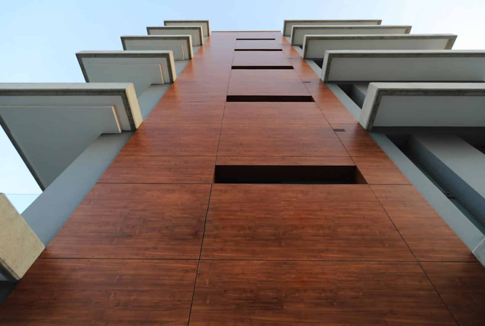 perspective20191119130448-copy-large