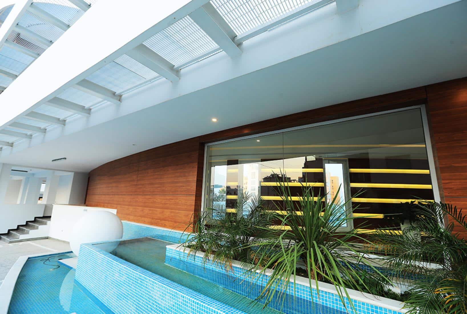 perspective20191125132343-copy-large