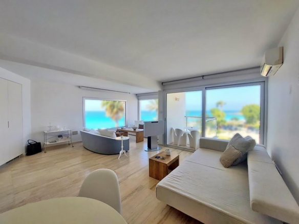 photo 2023 07 21 11 09 10 11 copy large