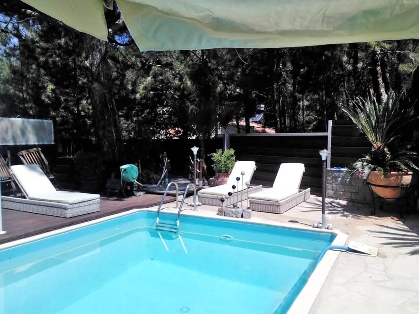 photo-2023-09-11-12-41-20-3-large-copy-large