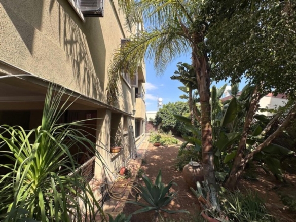 photo 2024 09 08 17 33 11 copy large medium large