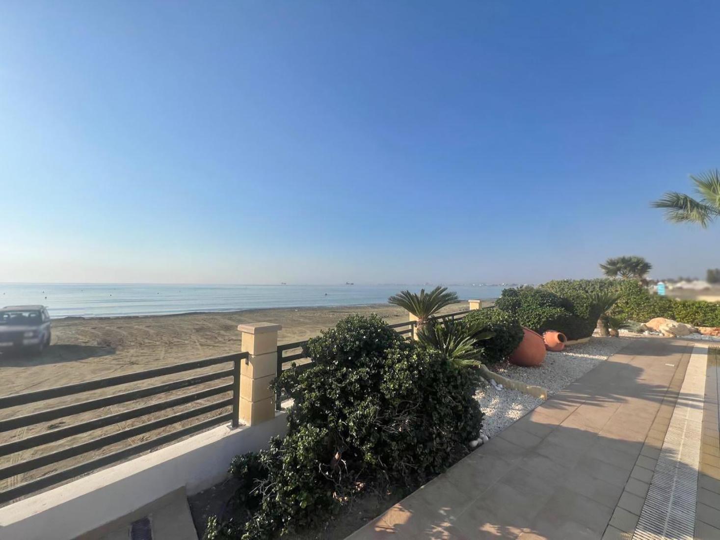 photo-2024-11-05-14-23-36-3-copy-large