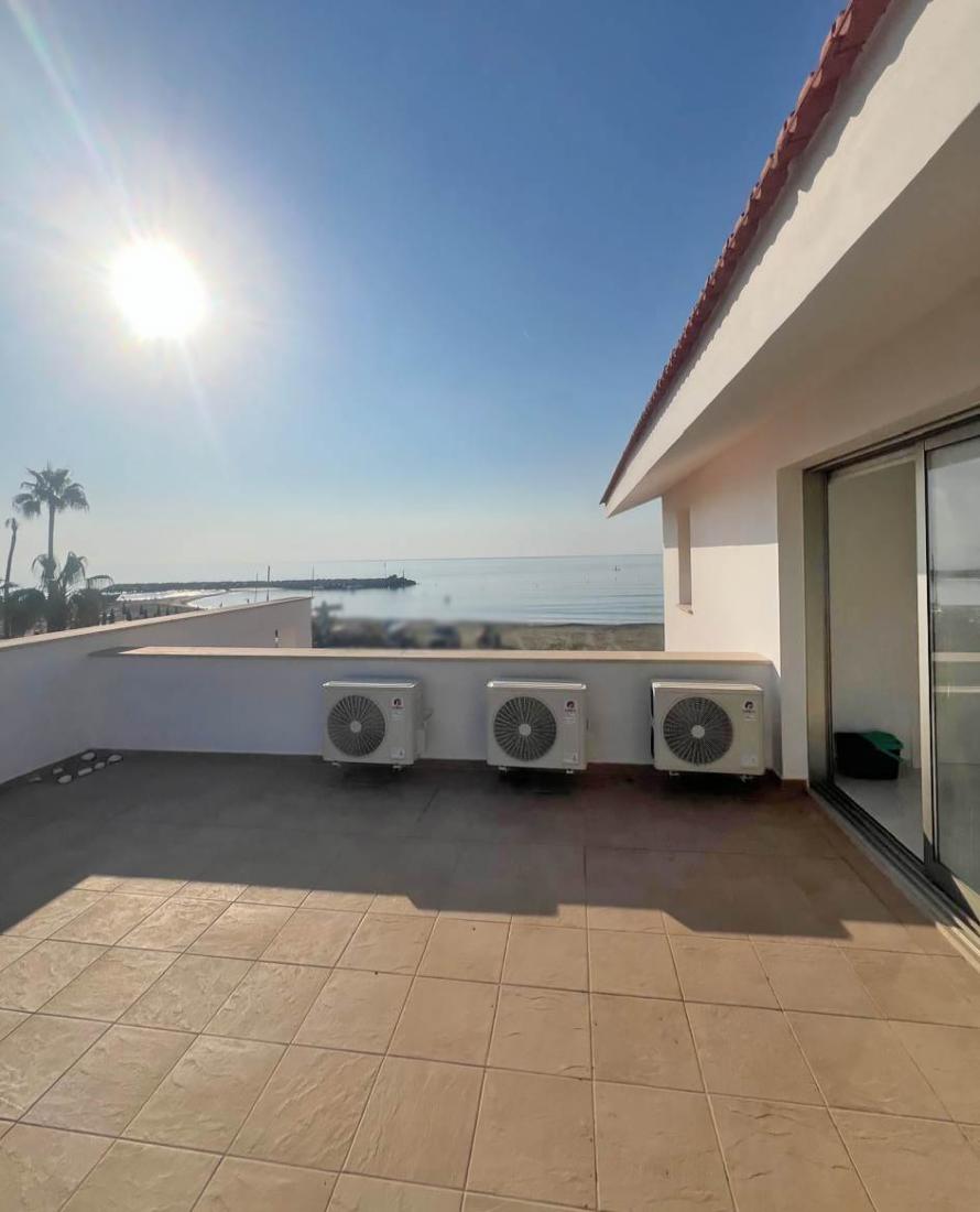 photo-2024-11-05-14-23-38-22-copy-large