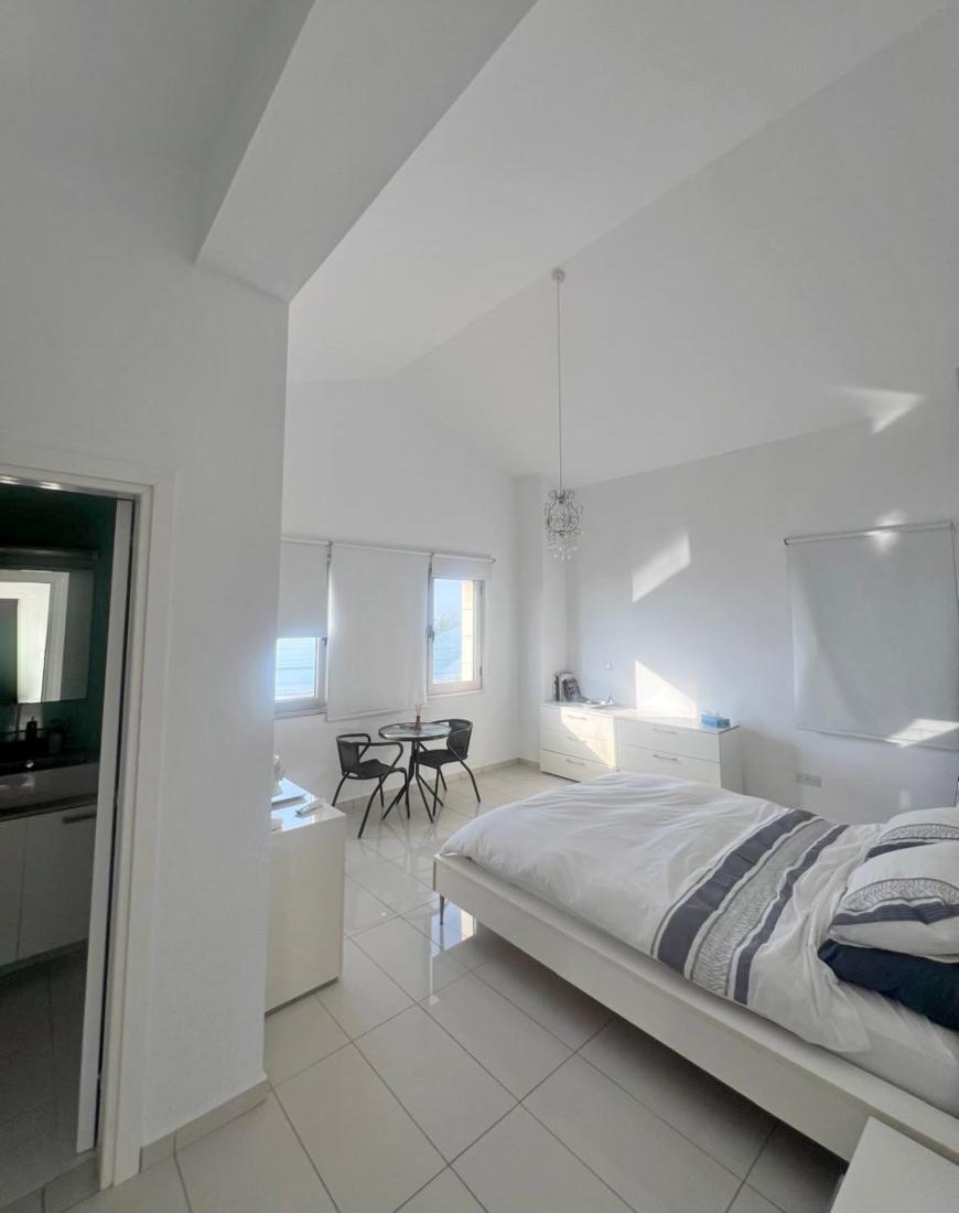 photo-2024-11-05-14-23-38-3-copy-large