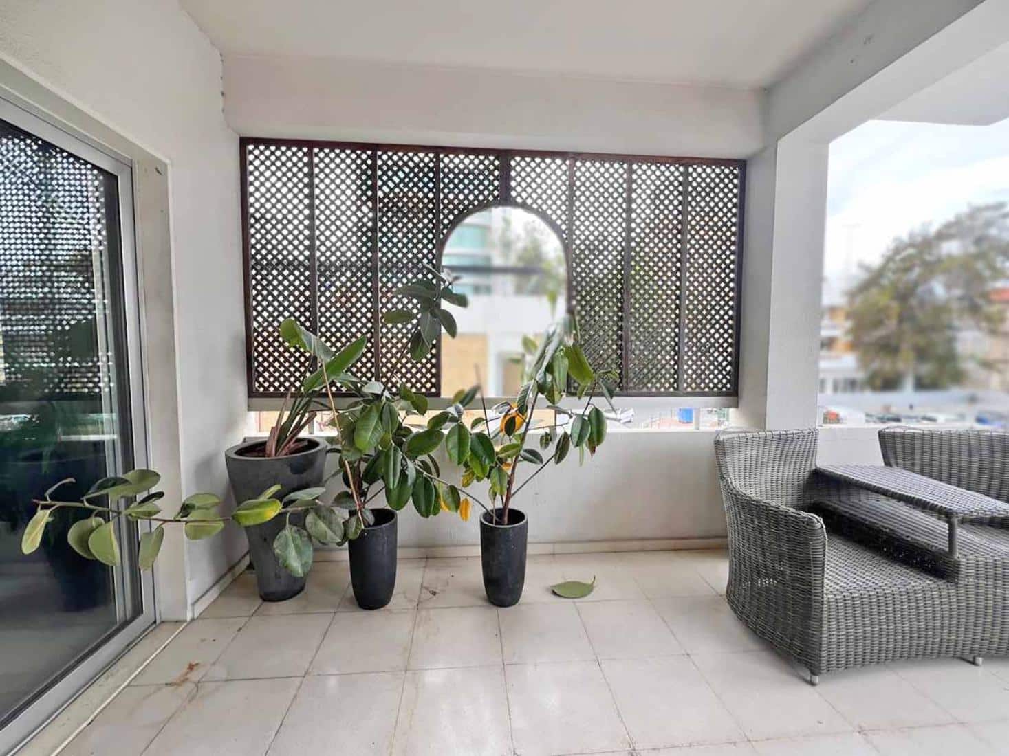 photo-2025-03-04-21-42-53-15-copy-large