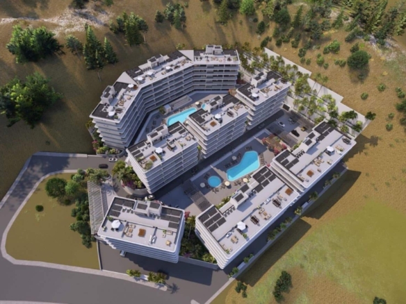 sapphireousaigroup 29 large large