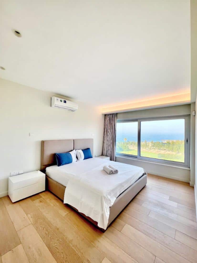 screenshot-2024-06-17-at-51152-pm-copy-large