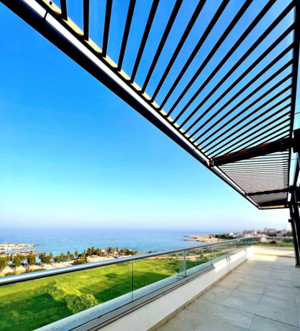 screenshot-2024-06-17-at-51236-pm-copy-large