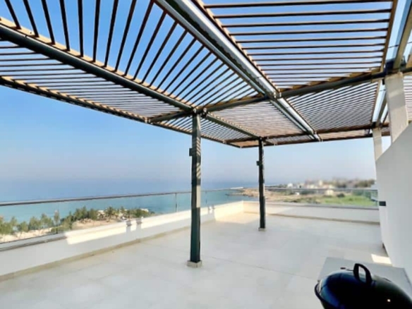 screenshot 2024 06 17 at 51252 pm copy large