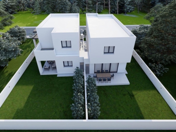 screenshot 2025 03 10 at 44341 pm large large