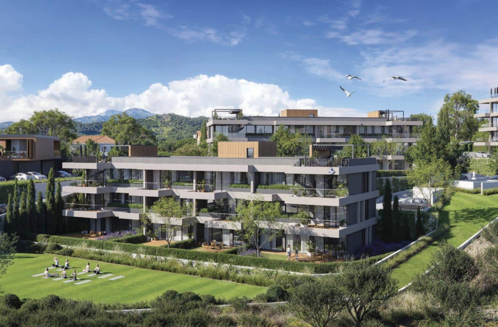 untitled-1-02-large-large-46