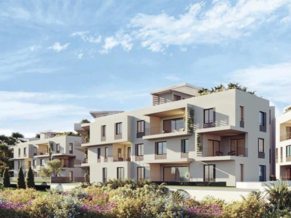 untitled 2 01 large large 51