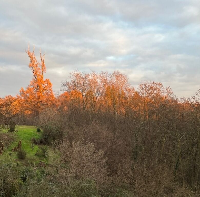 Beautiful autumn landscape of a villa in Mezzana Mortigliengo, Piedmont, surrounded by colorful tree.